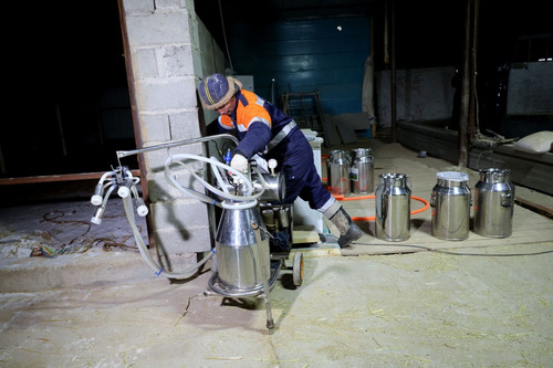 ubpress/image/2026/02/09/wjrig37d5eq69189/Монголын